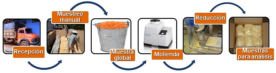 Amostragem para analise estatica2 SP