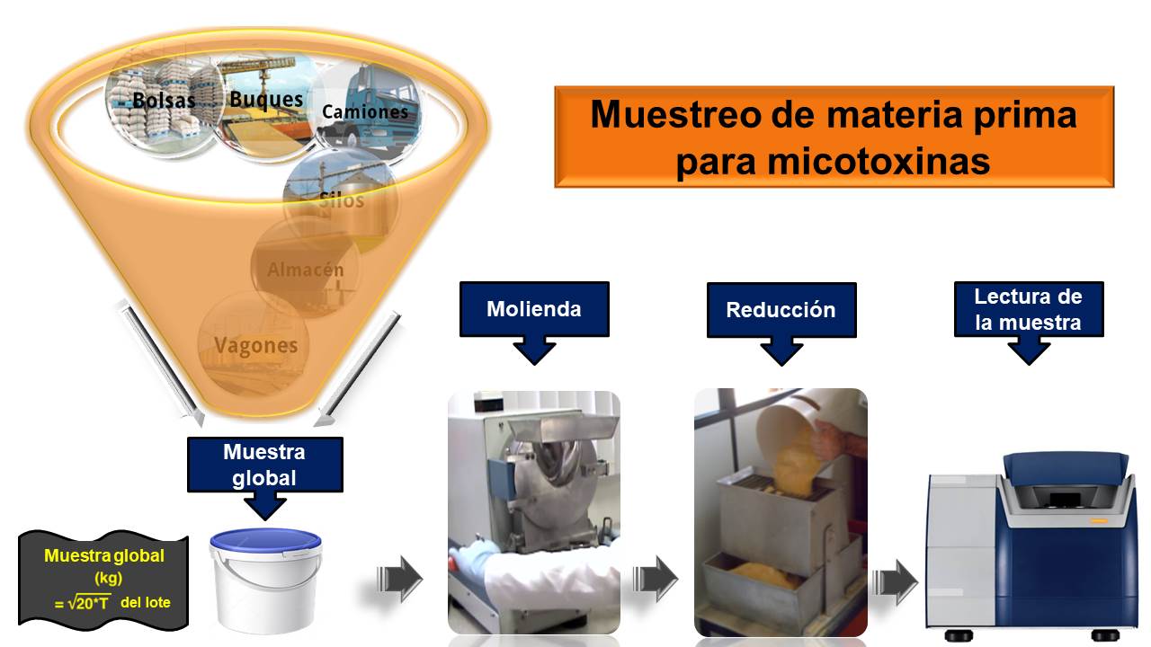 Assistencia tecnica1 SP